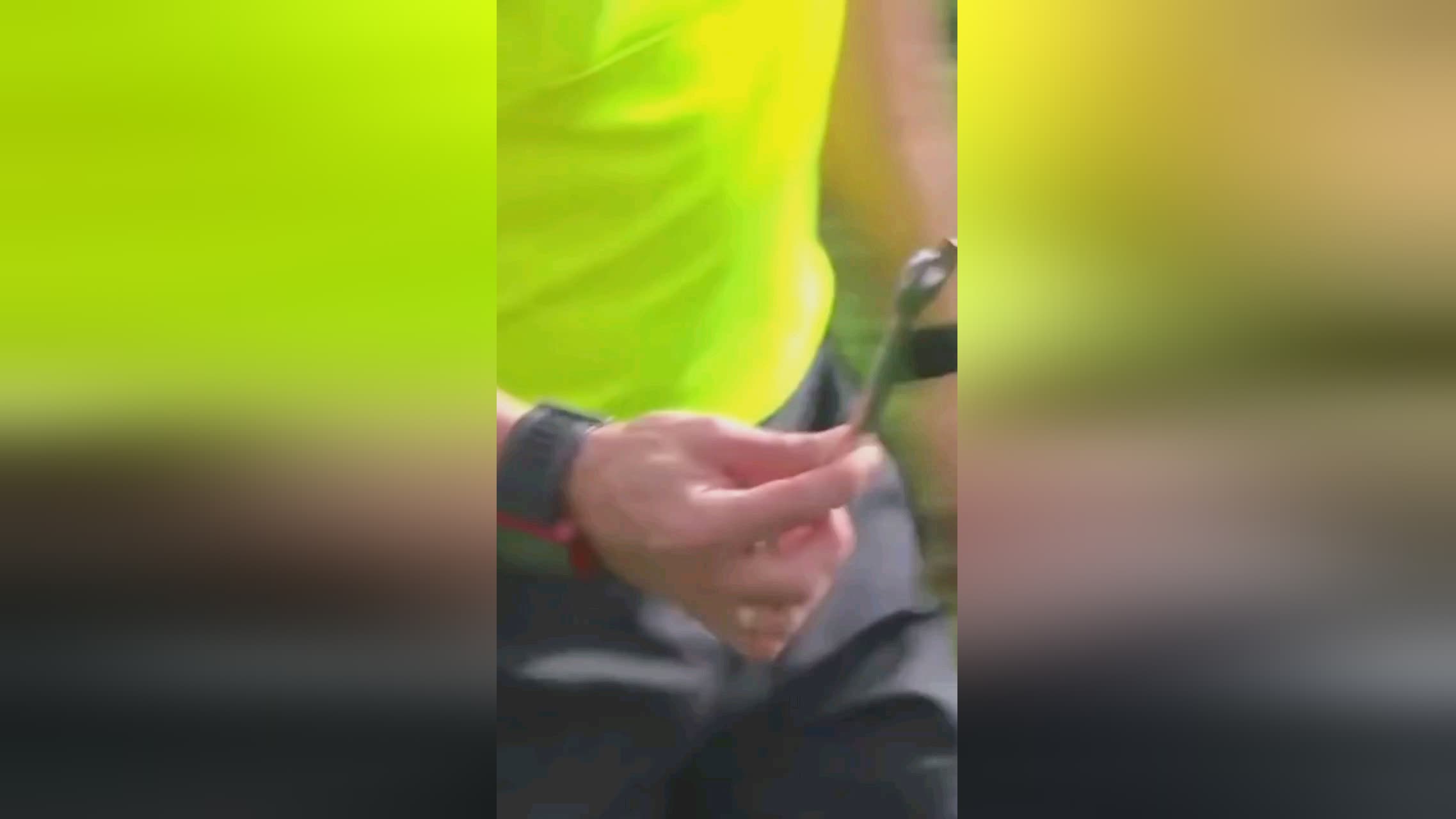 录不仅激励