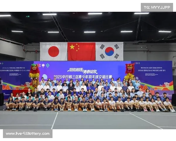 羽毛球技巧与战术深度解析，助你提升竞技水平与比赛表现